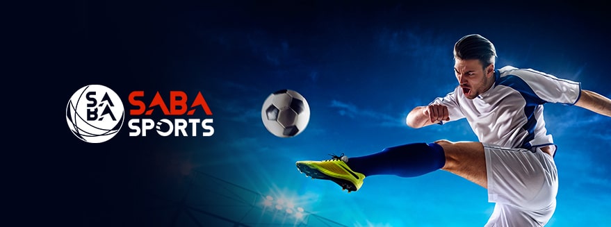 Outstanding subjects that the SABA sports hall is providing