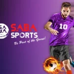 A few words about the SABA sports hall