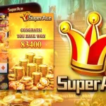 Super Ace Key Features